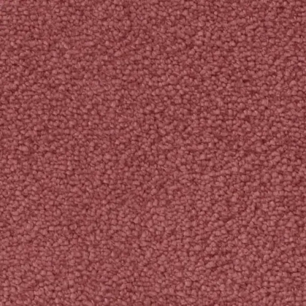 Draufsicht auf Vorwerk Mira 1P99